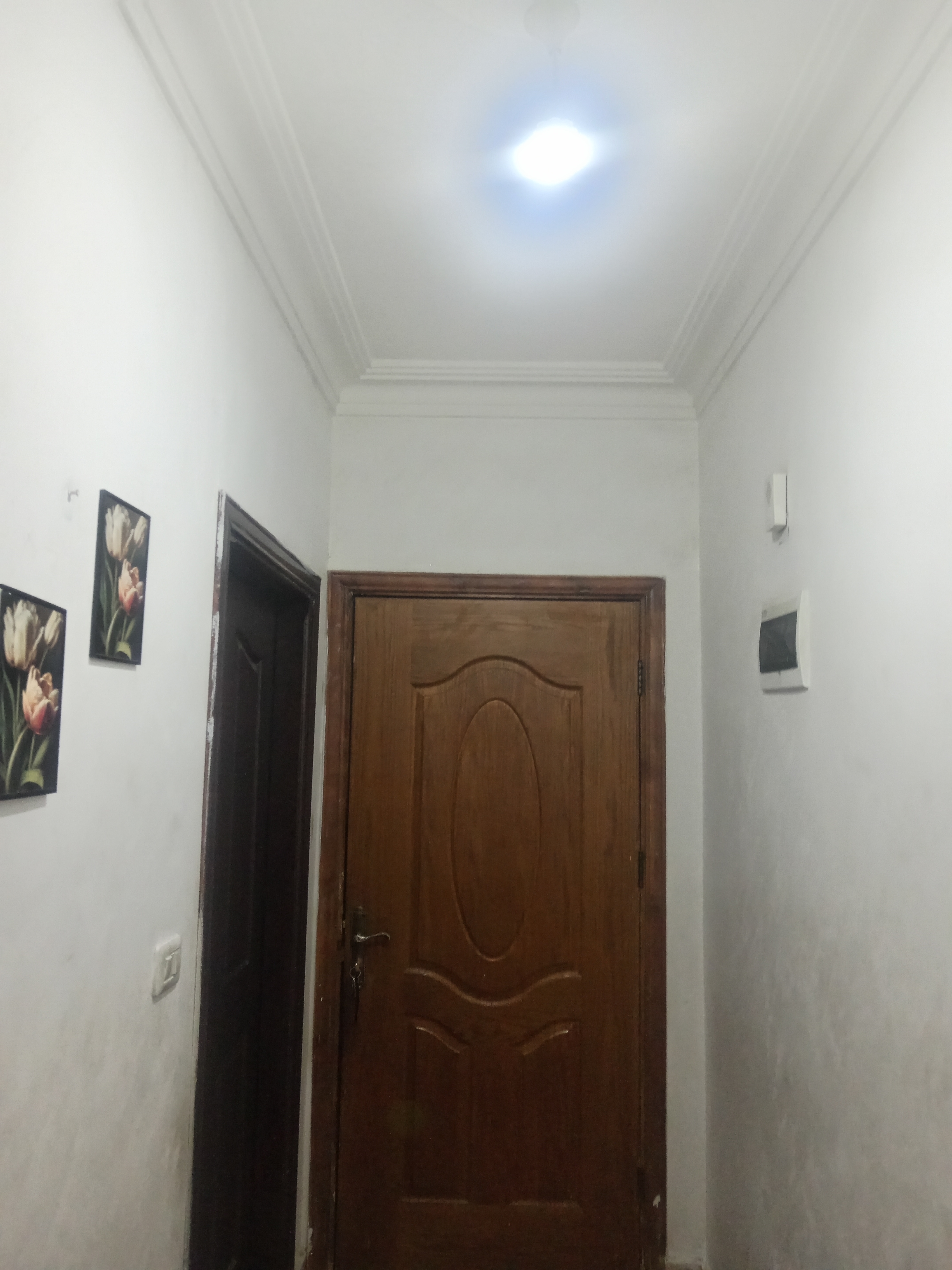 شقة للبيع